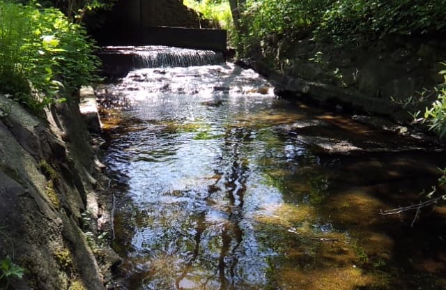 small creek with water flowing